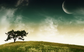 Дерево, небо, планета