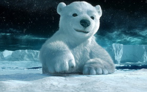 Белый медвежонок