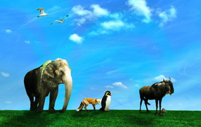 Дикие животные