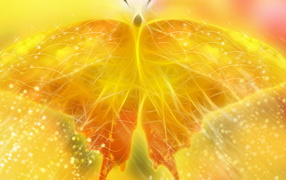 Желтая бабочка