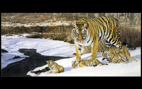 Полосатые тигры