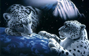 Белые леопарды