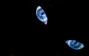 Эти глаза напротив