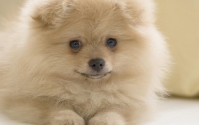 Я вам улыбаюсь