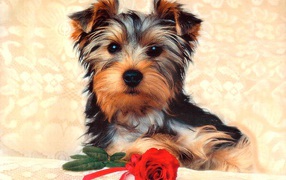 Симпатичная собачка