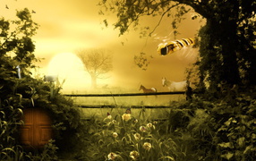 Две лошадки