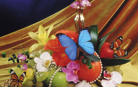 Прекрасная синяя бабочка