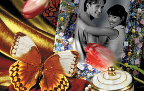 Бабочка у фотографии