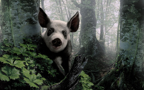 Pig in the woods