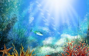 Аквариум с рыбками