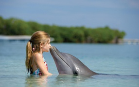 Dolphin and girl