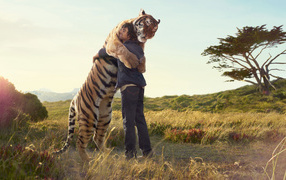 Tiger hugging man