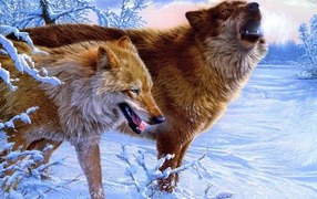 Зимние волки