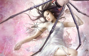 Аниме среди пауков