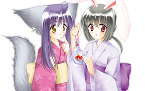 Кошка и Кролик