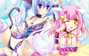 Парочка кошечек