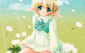 Одуванчики