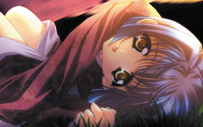 Вечерняя фантазия