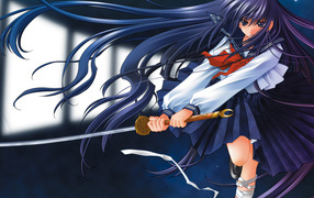 Школьница Самурай