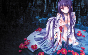 Рабыня Изаура