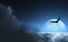 На фоне луны