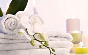 Чистые полотенца