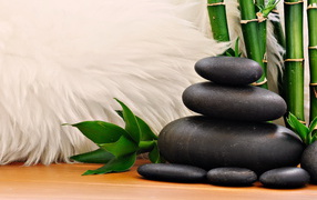 Мех, камни, тростник