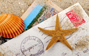 Letter, cockleshell, starfish