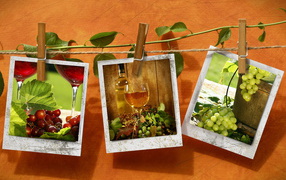 Фотографии