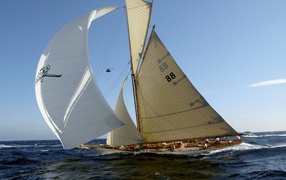 Race Sailing