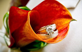 Кольца в цветке