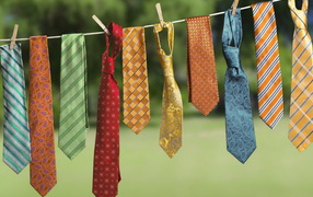 Галстуки на просушке