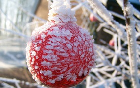 Оледеневший шар