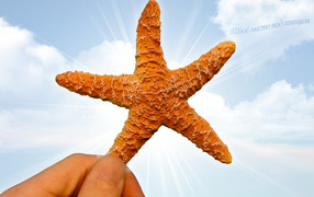 Твое место под солнцем