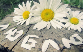 надпись Люблю