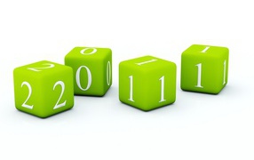 2011 Новый Год