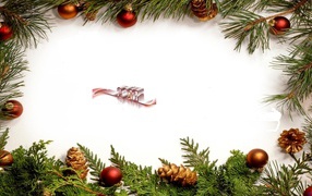 Новый Год 2011