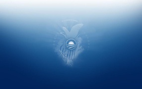 Президент США 2008