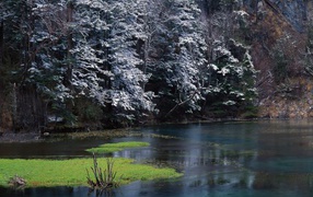 Ранняя зима