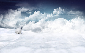 Белый медведь на снегу