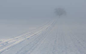 Заснеженная дорога