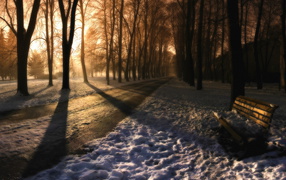 Дорога в парк