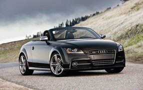 Audi TTS Roadster