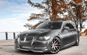 BMW 335