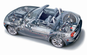 Z4 Organic рисунок