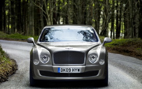 Бентли Мулсанн прогулки по лесу