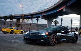 Chevrolet Corvette Z06 под мостом