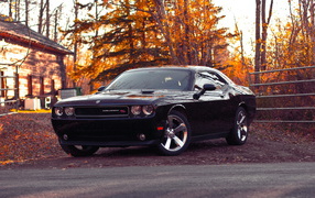 Dodge-Challenger