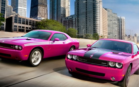 Dodge Challenger SRT8-RT Classic