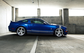 Ford-Mustang GT 500